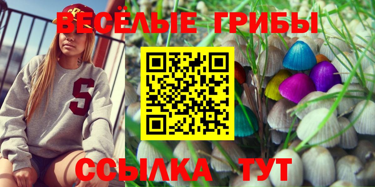 Павловский Посад  Псилоцибиновые грибы Magic Shrooms  Вход с VPN 